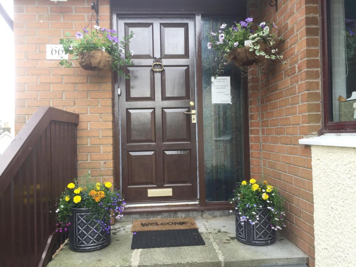 On Route 74 Cycle Route - Glencaple Manse, Crawford Apartment Exterior foto